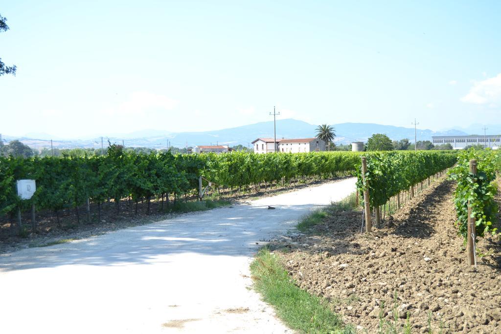 Agriturismo De Luca Mozzagrogna Exteriör bild