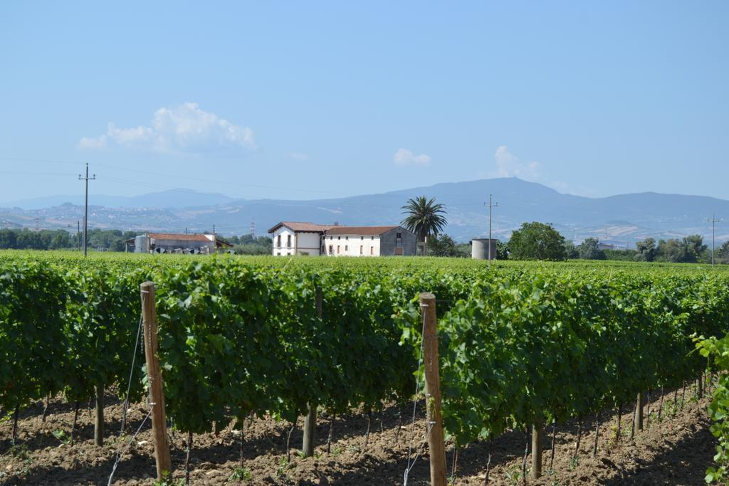 Agriturismo De Luca Mozzagrogna Exteriör bild